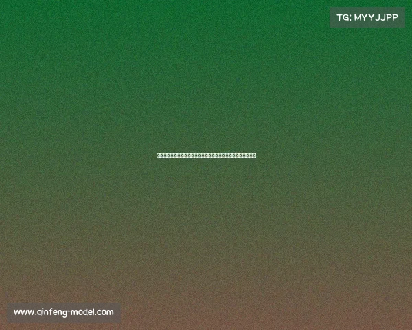 河南省篮球风云再起二零二四年全省锦标赛激情开赛精英云集郑州