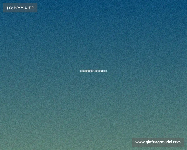 赛车赛事哪里有资讯,赛车资讯app